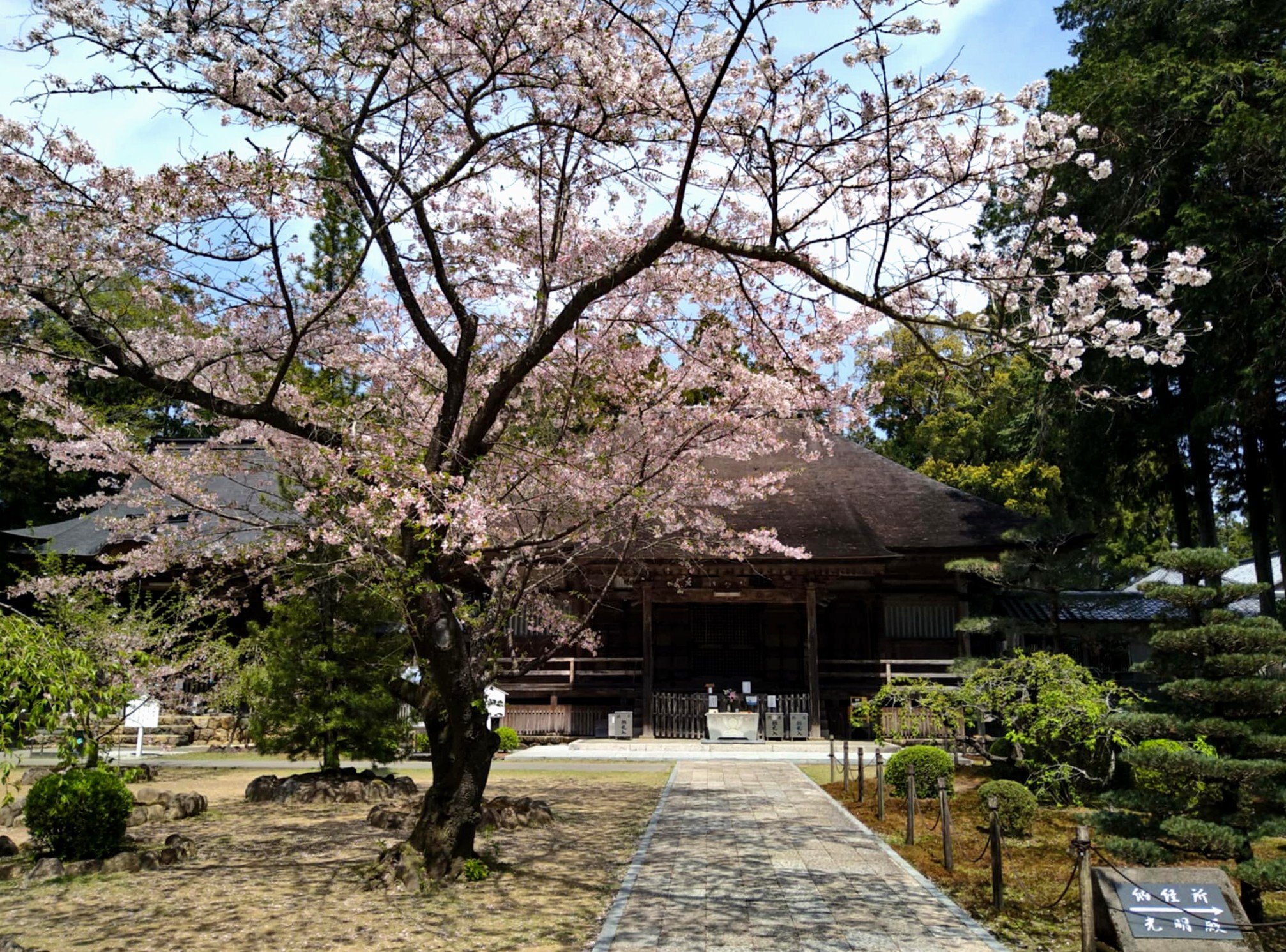 卍 도사 국분사(도사 고쿠분지)